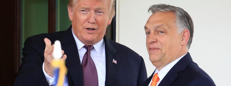 Trump gilt wie Orban als offen für Verhandlungen mit Russlands Präsident Wladimir Putin. - Foto: Manuel Balce Ceneta/AP/dpa