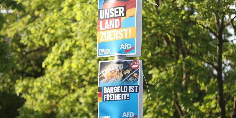 AfD-Wahlplakate zur Europawahl (Archiv) - Foto: über dts Nachrichtenagentur