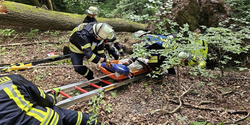 FW-AR: Zusammenarbeit bei Unfällen im Wald intensiviert - Foto: presseportal.de