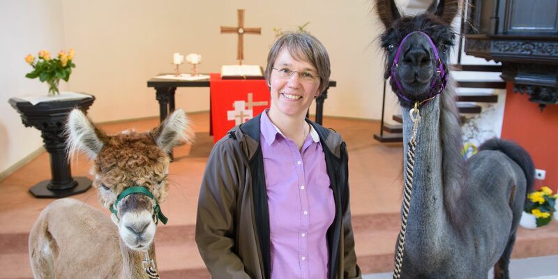 Die Tiere sorgen für besondere Stunden - Foto: picture alliance / dpa