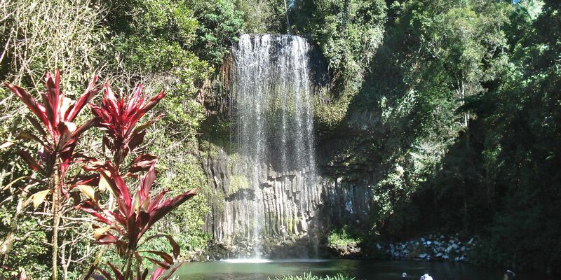 Unfälle an den Millaa Millaa Falls sind sehr selten. (Archivbild) - Foto: Carola Frentzen/dpa