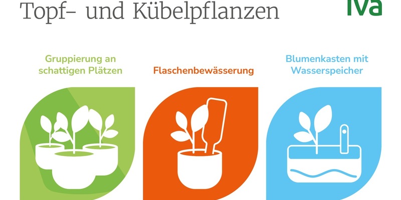 So bleibt die heimische Oase grün: Tipps zur Pflanzenpflege in der Urlaubszeit - Foto: presseportal.de