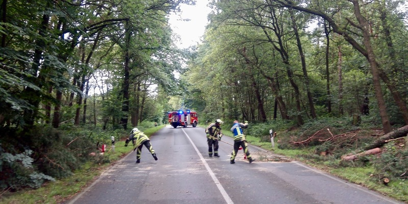 FW Hünxe: Baumkrone beschädigt - Foto: presseportal.de