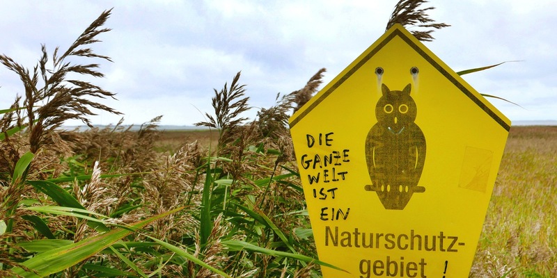 Vogelperspektiven am 22. August im SWR und in der ARD Mediathek - Foto: presseportal.de