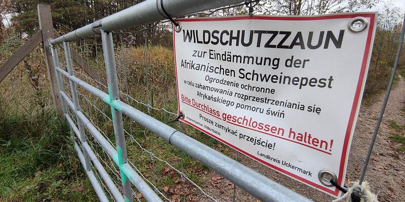 Wildschutzzaun gegen Afrikanische Schweinepest (Archiv) - Foto: über dts Nachrichtenagentur