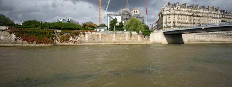 Die Freiwasserschwimmer sollen in der Seine ihre Olympiasieger ermitteln. - Foto: Thibault Camus/AP/dpa