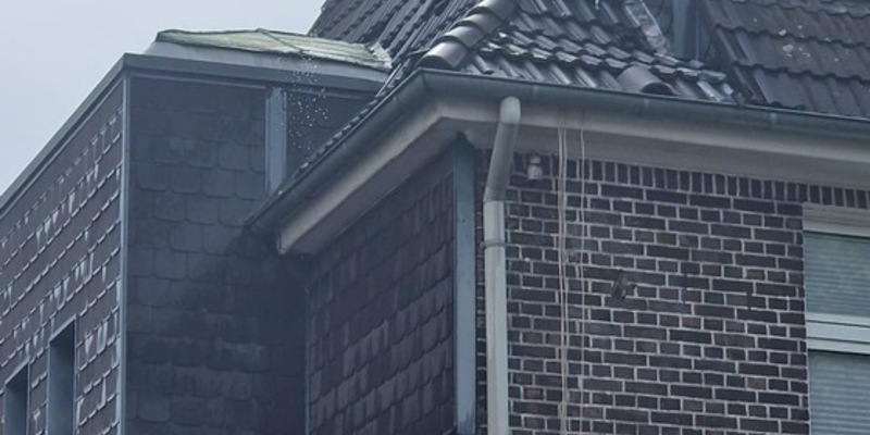 FW-E: Hier brennt der Baum! - und das wortwörtlich - Foto: presseportal.de