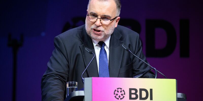 Kritisiert die AfD in Thüringen: BDI-Präsident Siegfried Russwurm. (Archivbild) - Foto: Bernd von Jutrczenka/dpa