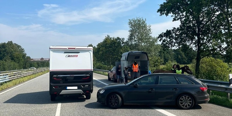 POL-CUX: Gefahrenstelle durch gestürztes Pferd im Anhänger auf der BAB27 (Lichtbild in der Anlage) - Foto: presseportal.de