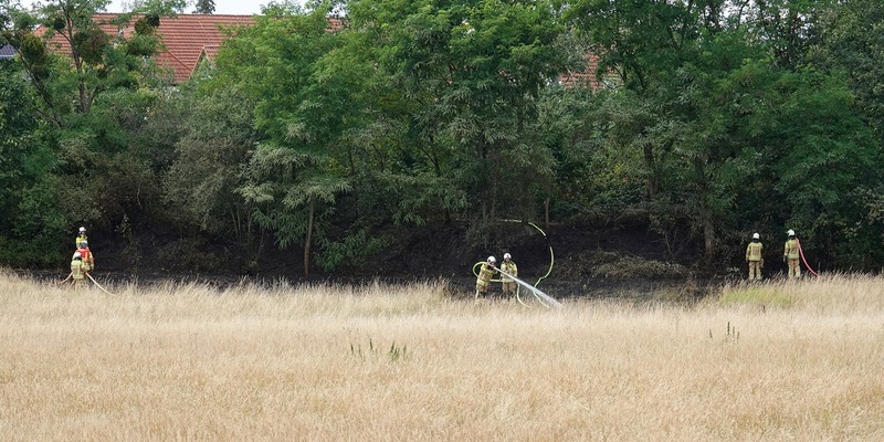 FW Dresden: Informationen zum Einsatzgeschehen von Feuerwehr und Rettungsdienst in der Landeshauptstadt Dresden vom 22. Juli 2024 - Foto: presseportal.de
