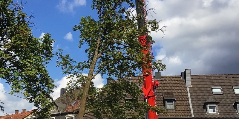 FW-BO: Feuerwehr beseitigt stark beschädigten Baum - Einsatz für den Feuerwehrkran - Foto: presseportal.de