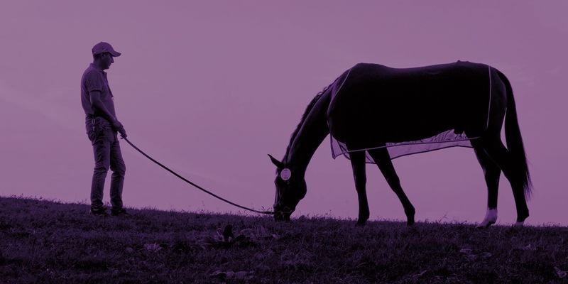 OLYMPIA 2024: Be a Guardian - FEI ruft Initiative zum Wohle der Pferde ins Leben - Foto: presseportal.de