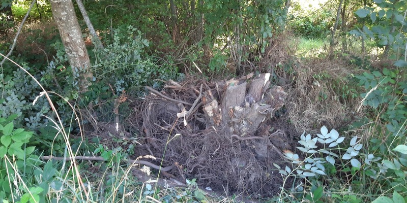POL-SE: Kölln-Reisiek - Illegale Entsorgung von diversen Pflanzenabfällen im Entwässerungsgraben - Polizei sucht Zeugen - Foto: presseportal.de