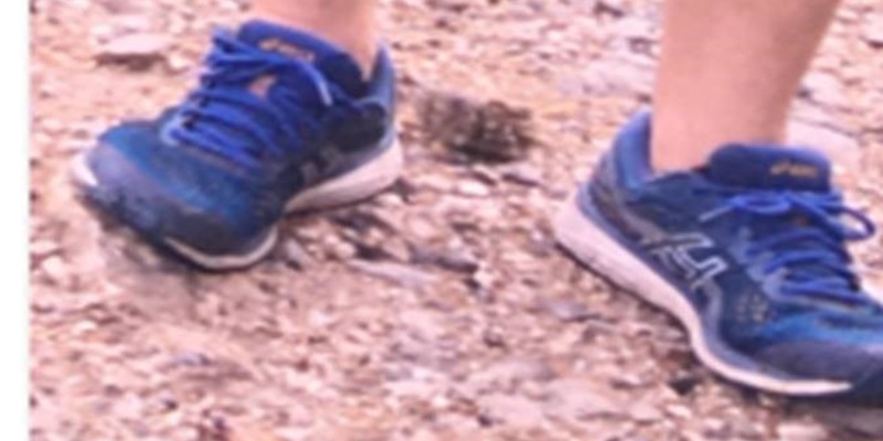 POL-DA: Darmstadt: +++NACHTRAGSMELDUNG+++ 62-Jähriger immer noch vermisst- Polizei intensiviert Suche mit neuen Hinweisen - Foto: presseportal.de