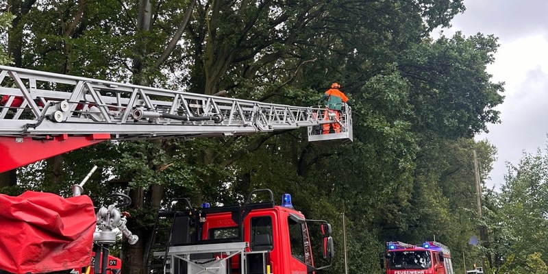 FW-Schermbeck: Baum auf Fahrbahn - Foto: presseportal.de