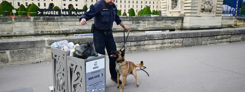 Auch Hundestaffeln kommen zum Einsatz, um die Zeremonie zu schützen. - Foto: Sina Schuldt/dpa