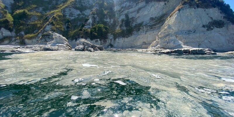 Das Phänomen Algenschleim ist schon lange bekannt. Vermutlich begünstigen heiße Sommer ein verstärktes Algenwachstum in der Adria. - Foto: Roberto Danovaro/dpa