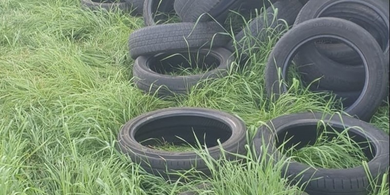 POL-UL: (UL) Ulm - Haufenweise Altreifen neben Maisfeld entsorgt / In den vergangenen Tagen hatte ein Unbekannter bei Ulm-Gögglingen rund 60 Altreifen entsorgt. - Foto: presseportal.de