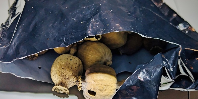 HZA-SB: Gemeinsame Presseerklärung der Staatsanwaltschaft Frankenthal und des Hauptzollamtes Saarbrücken; ZOLL entdeckt 50.000 Gramm Schlafmohn - Foto: presseportal.de