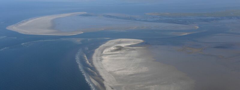 Die Klimaerwärmung verändert den Lebensraum am Wattenmeer. (Archivbild) - Foto: Carsten Rehder/dpa