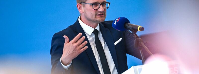 AfD-Politiker Springer beklagt hohe Ausgaben für Bürgergeld (Archivbild) - Foto: Britta Pedersen/dpa