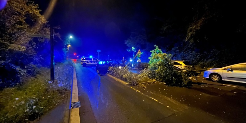 POL-REK: 240728-1: Gegen Baum geprallt und zunächst geflüchtet - Foto: presseportal.de