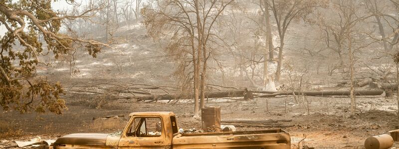 Im Norden Kaliforniens hat sich ein Waldbrand in den vergangenen Tagen massiv ausgebreitet. - Foto: Noah Berger/FR34727 AP/AP