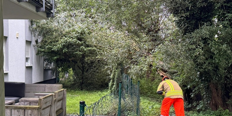 FW Alpen: Ast lehnte gegen Hauswand - Foto: presseportal.de