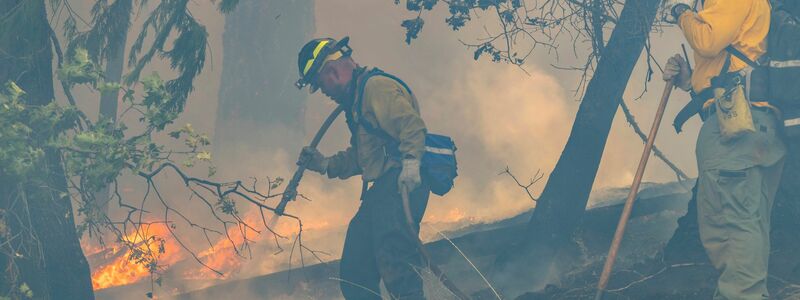 Angesichts des Klimawandels warnen Experten, dass Feuer häufiger auftreten und mehr Zerstörungskraft entfalten. - Foto: Nic Coury/AP/dpa