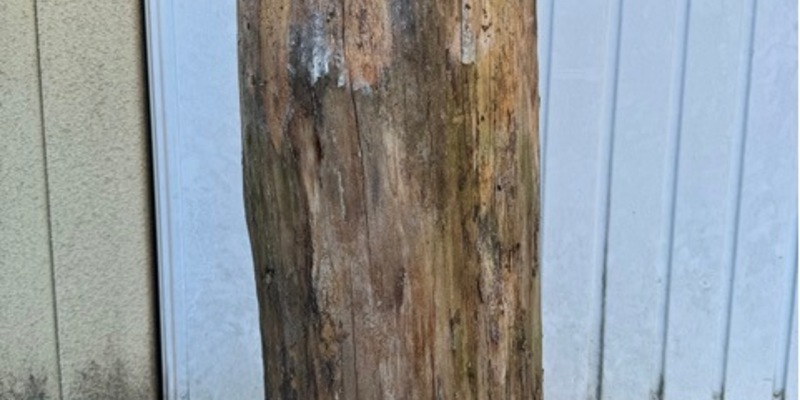 POL-HK: Schneverdingen: Unfall mit drei Leichtverletzten; Bad Fallingbostel/A 7: Kettenunfall auf der A 7; Hademstorf: Wer kann Angaben zur Geldkassette auf Baumstamm machen? - Foto: presseportal.de