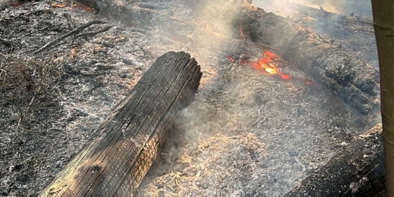 FW Ense: Unterholz-Brand im Aupketal zwischen Niederense und Neheim - Foto: presseportal.de
