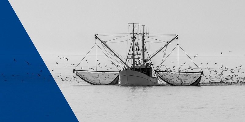 ARD radiofeature / Kampf an der Nordsee – Doku über den Konflikt zwischen Fischern und Meeresschützern - Foto: WDR/picture alliance/Zoonar/Conny Pokorny / Weiterer Text über ots und www.presseportal.de/nr/153004 / Die Verwendung dieses Bildes für redaktionelle Zwecke ist unter Beachtung aller mitgeteilten Nutzungsbedingungen zulässig und dann auch honorarfrei. Ver