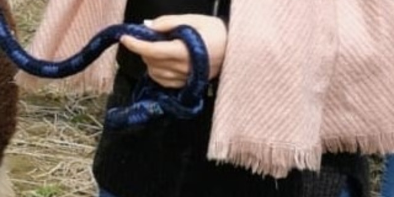 POL-F: 240731 - 0771 Frankfurt - Bielefeld: Vermisstenfahndung - Foto: presseportal.de