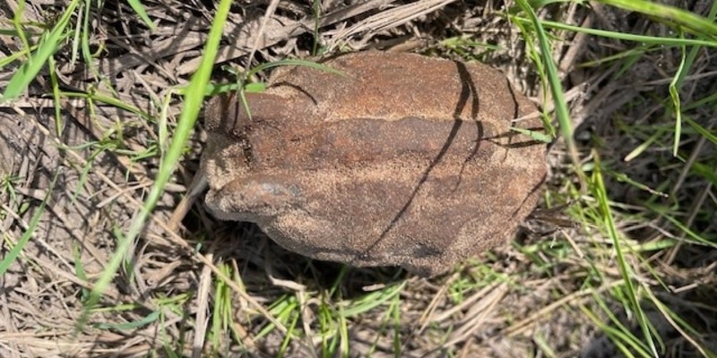 POL-LER: Nachtragsmeldung der Polizeiinspektion Leer/Emden für den 31.07.2024 - Foto: presseportal.de