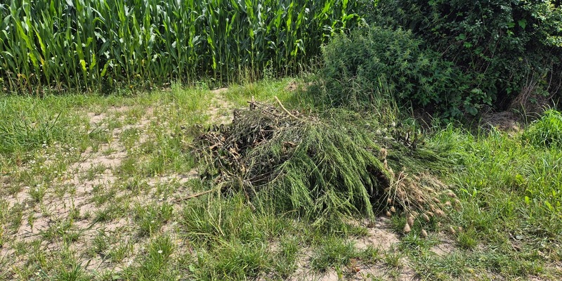 POL-NI: Grünschnitt in Feldmark entsorgt - Foto: presseportal.de