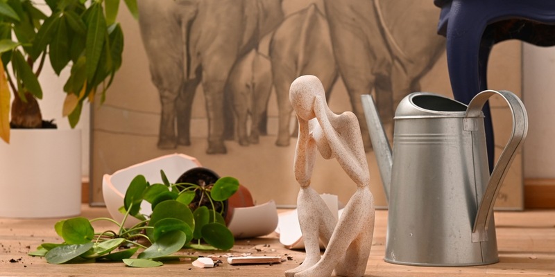 Tipps für den Alltag / Auf gute Nachbarschaft: Privathaftpflicht-Versicherung unterstützt Gefälligkeitshandlungen - Foto: presseportal.de