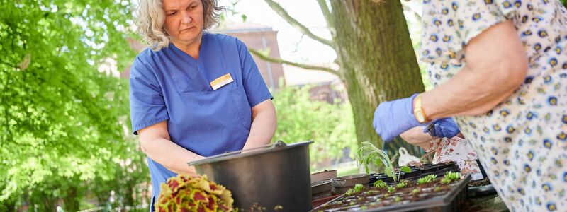 Auch Gartentherapie kann bei Demenz helfen. (Symbolbild) - Foto: Annette Riedl/dpa