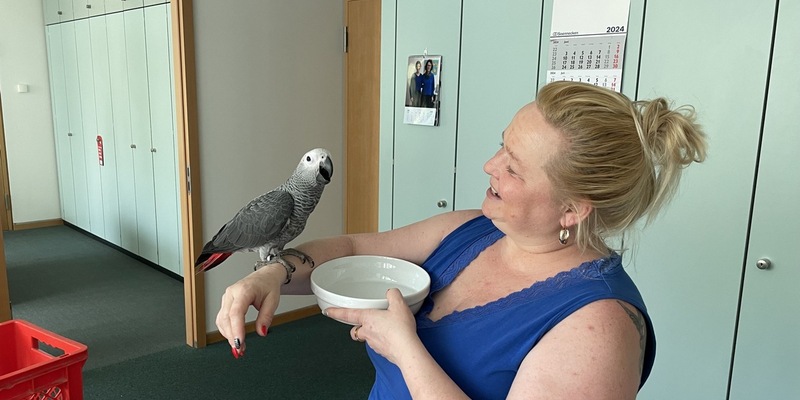 FW Mainz: Papageienrettung im Stadthaus Große Bleiche - Foto: presseportal.de