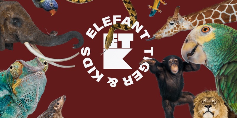 Drehstart für dritte Staffel „Elefant, Tiger & Kids“ im Oktober – Bewerbungsphase läuft noch bis 15. August - Foto: presseportal.de