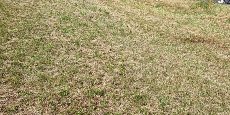 API-TH: 50 Festival-Besucher auf A9 in Ri. Berlin gestrandet - Foto: presseportal.de