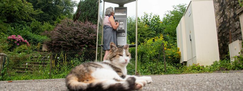 In einer Telefonzelle im Elsass rufen Menschen aus der ganzen Welt an. - Foto: Florian Bodenmüller/SWD - Südwestdeutsches Mediennetzwerk GmbH/dpa