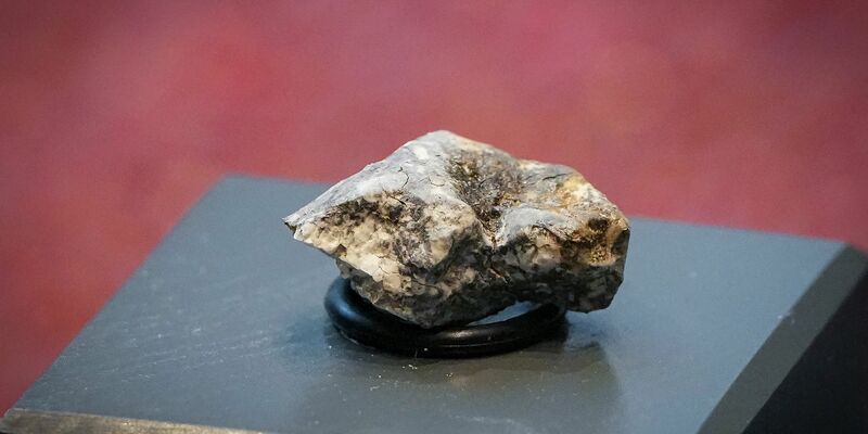 Die Trümmer des «Ribbeck»-Meteoriten, der im Januar in Brandenburg niederging, rochen intensiv nach faulen Eiern. - Foto: Soeren Stache/dpa