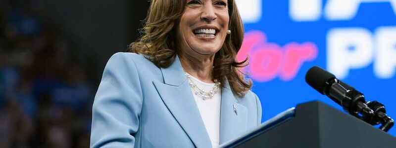 Kamala Harris hat sich die Präsidentschaftskandidatur der Demokraten gesichert und ist nun auf der Suche nach einem Vize. - Foto: John Bazemore/AP/dpa