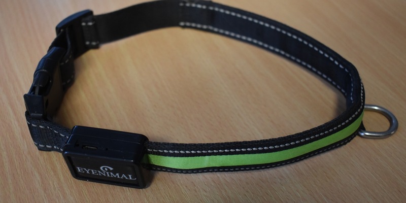 POL-EL: Hoogstede - Zeugen nach Schafsriss gesucht (Foto) - Foto: presseportal.de