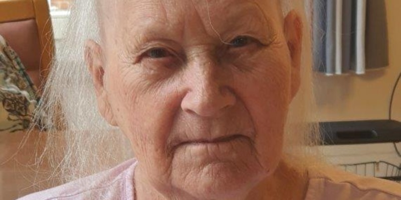 POL-HH: 240806-4. Vermisstenfahndung nach 87-jähriger Frau - Foto: presseportal.de