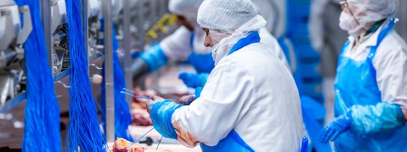 Im ersten Halbjahr ist die Fleischproduktion in Deutschland weider gestiegen. (Archivbild)  - Foto: Jens Büttner/dpa