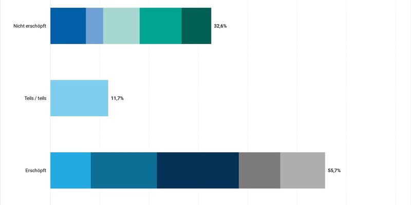 55,7 % der Deutschen sind erschöpft / Erschöpfung nimmt erneut zu / Politische Situation wird zum Problem / Erwerbstätige beklagen sinnlose Arbeit - Foto: presseportal.de