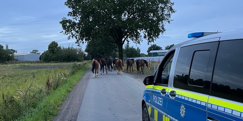 POL-COE: Coesfeld, Letter Bülten / Freilaufende Pferde - Foto: presseportal.de