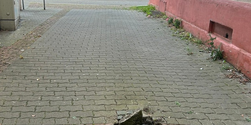 POL-PPWP: Wenn der Straßenpoller bei der Durchfahrt stört... - Foto: presseportal.de