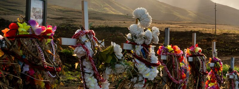  102 Menschen wurden Opfer der Brände auf Maui. (Archivbild) - Foto: Lindsey Wasson/AP